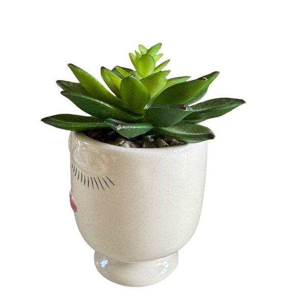 Ceramic Face Planter With Artificial Succulent Plant - Picture 4 of 5